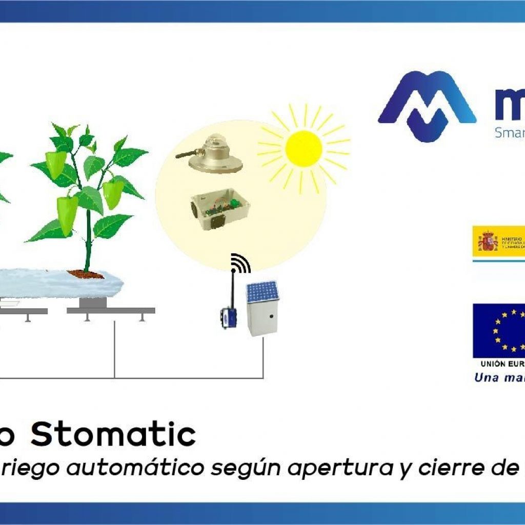proyecto-estomatic