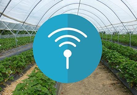 programador-riego-wifi