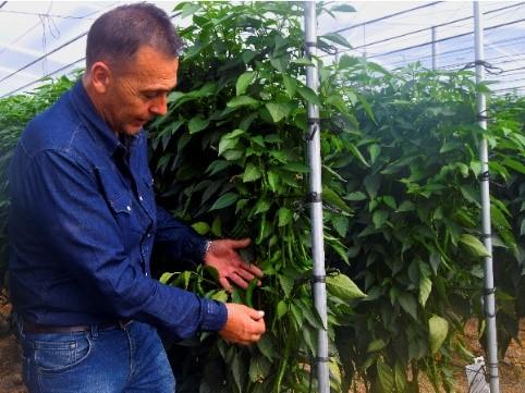 maher programador riego agrícola