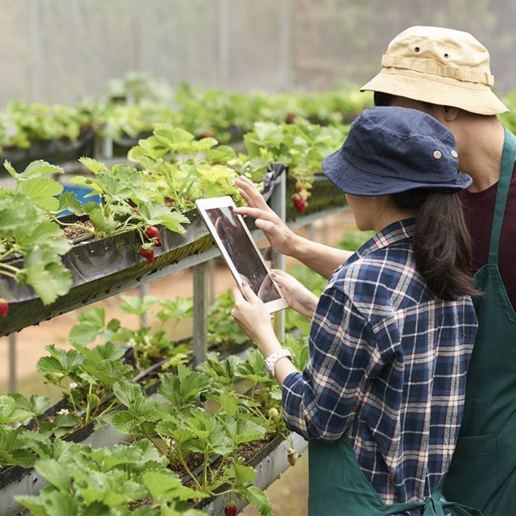 tendencias-agricolas-tecnologia