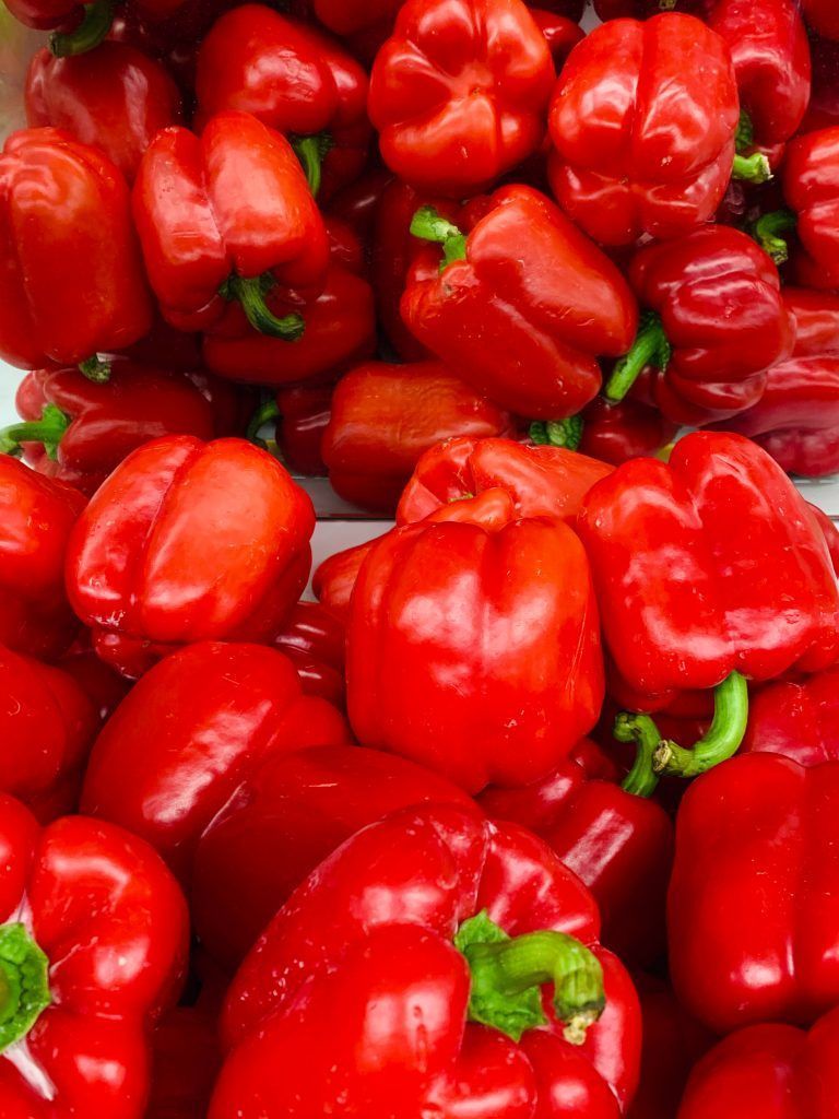 cultivo-pimientos